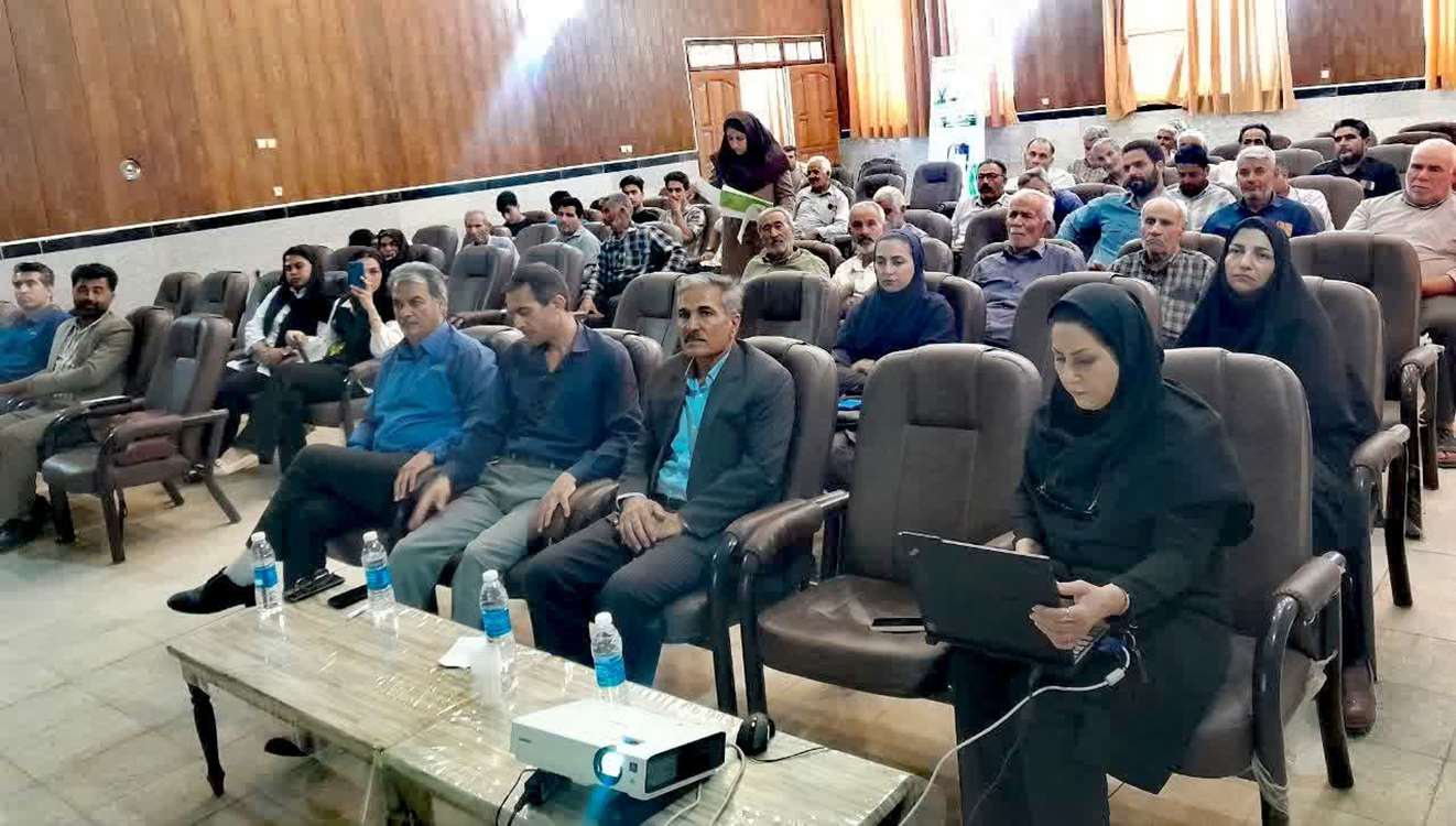 روز مزرعه پنبه روداب 
